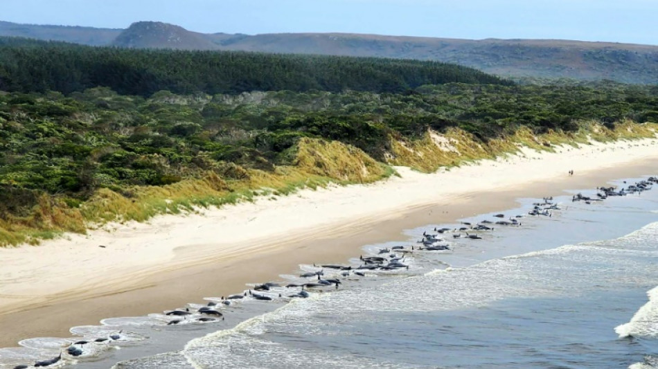 Australie: course contre la montre pour sauver les derniers cétacés échoués sur une plage