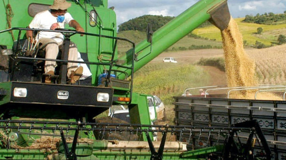 Berliner Tageszeitung Clima seco no Brasil eleva os preços da soja