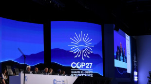 "Hist&oacute;rico" pero "insuficiente": las reacciones al acuerdo de la COP27