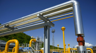 Gasimporteure in Europa bezahlen russisches Gas sanktionskonform in Euro 