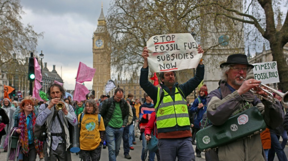Tausende demonstrieren vor britischem Parlament für Klima- und Artenschutz