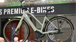 Umsatz und Besch&auml;ftigung in der Fahrradbranche leicht r&uuml;ckl&auml;ufig