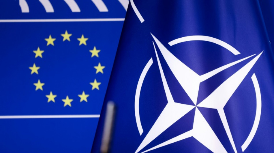 Bundesregierung setzt auf rasche Nato-Erweiterung um Schweden und Finnland