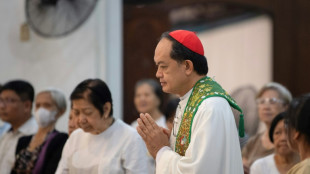 Se eleito papa, filipino poderia impulsionar voca&ccedil;&otilde;es sacerdotais na &Aacute;sia
