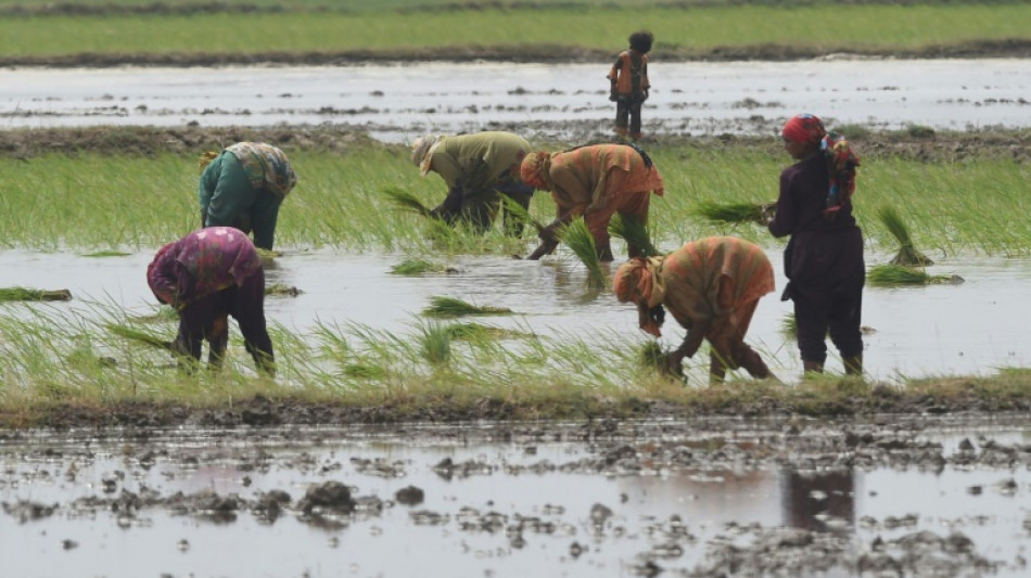 La OCDE llama a coordinar la ayuda a la agricultura y la transici&oacute;n ecol&oacute;gica