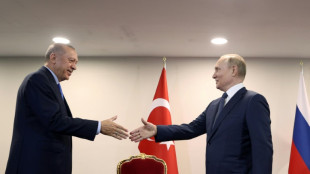 Türkischer Präsident Erdogan reist zu Putin nach Sotschi