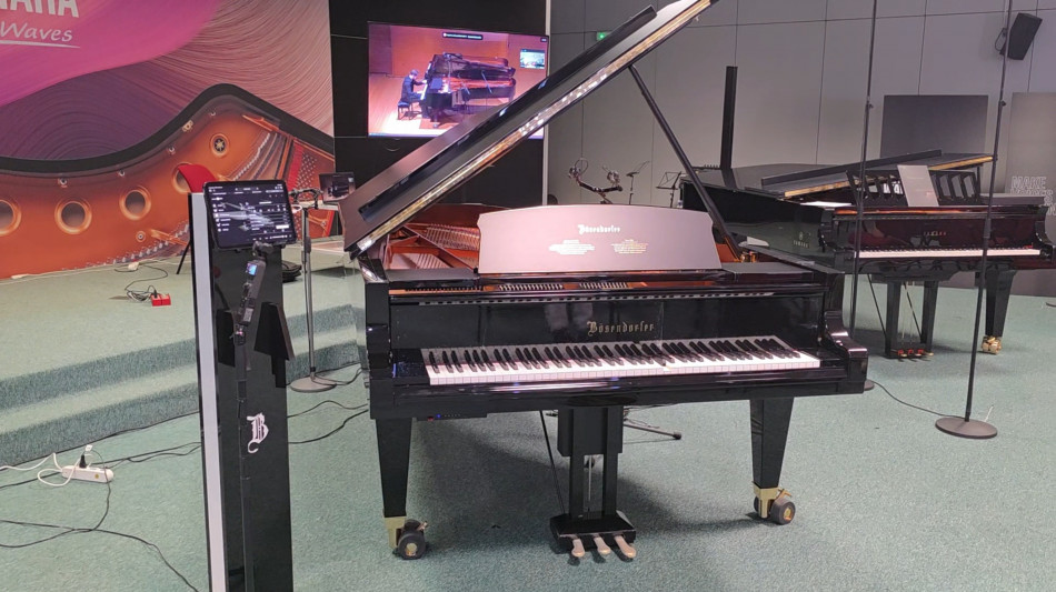 Pianoforte suona da solo a Cremona, il pianista &egrave; a Rovigo