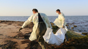 Nationalgarde: Seit Jahresbeginn fast 800 Migranten vor Tunesien ertrunken