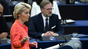 EU-Fokus unter tschechischem Ratsvorsitz auf Energiepolitik