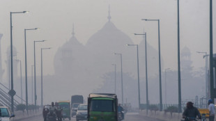 Studie: Luftverschmutzung größte Bedrohung für die Gesundheit