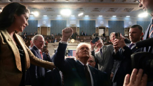 "Wir fangen erst an": Trump bekr&auml;ftigt vor US-Kongress seine radikale Agenda 