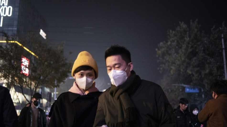 La ONU espera finalmente regular los cr&eacute;ditos de carbono en la COP29