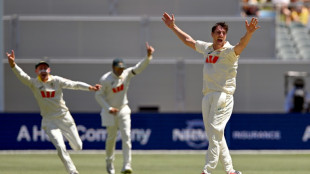 England battle to save Ashes as Australia rip through top-order