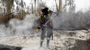 Dal Brasile alla Bolivia, &egrave; record di incendi in Sud America