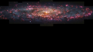 Une galaxie capturée en mille couleurs pour mieux l'étudier