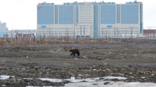 EEUU crea puesto de embajador en el &Aacute;rtico para enfrentar a China y Rusia 