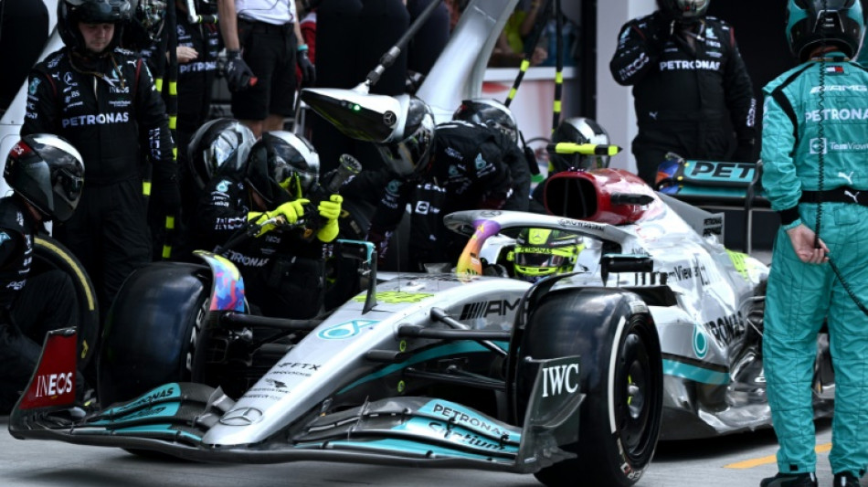 'That's your job' - Frustrated Hamilton queries team strategy