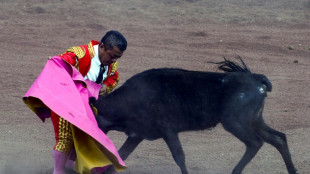Espanha proíbe touradas com pessoas com nanismo