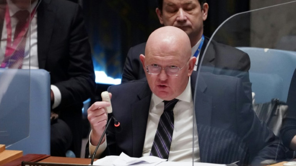 Rusia bloquea una petici&oacute;n en el Consejo de Seguridad de la ONU de investigar una supuesta masacre en Mal&iacute;