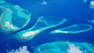 Luxusferien w&auml;hrend des Kriegs: Ukrainische Beh&ouml;rden ermitteln gegen Abgeordneten