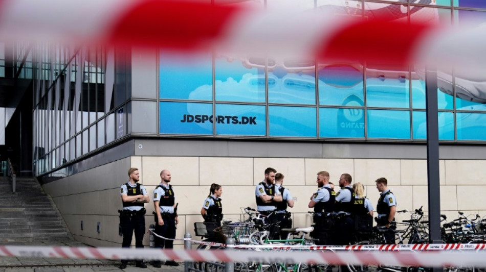 Fusillade de Copenhague: le suspect plac&eacute; en d&eacute;tention en psychiatrie