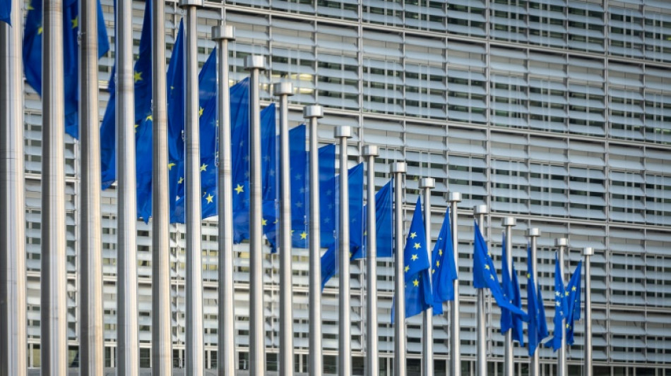 Bruselas rechaza reconsiderar el nombramiento de una experta de EEUU para regular los gigantes tecnol&oacute;gicos