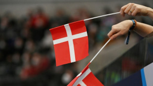 Gutachten am EuGH: D&auml;nisches Gesetz zu Migranten in Stadtvierteln diskriminierend