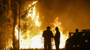 Portugal gains control of some wildfires