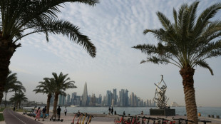 Regierungschef von Katar: Angriff auf Atomanlage im Iran w&uuml;rde Wassernot ausl&ouml;sen