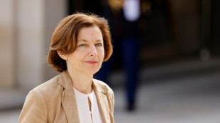 L'ex-ministre des Arm&eacute;es Florence Parly nomm&eacute;e pr&eacute;sidente du conseil d'administration d'Air France-KLM