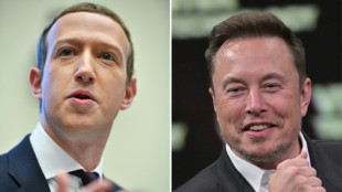 Kampf zwischen Zuckerberg und Musk soll in Italien ausgetragen werden