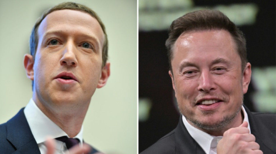 Möglicher Kampf zwischen Zuckerberg und Musk soll auf X übertragen werden
