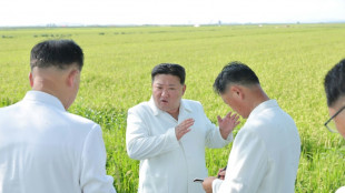 L&iacute;der norte-coreano visita planta&ccedil;&otilde;es afetadas por tuf&atilde;o em meio &agrave; escassez