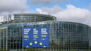 Las elecciones europeas de junio podrían consolidar el crecimiento  de la extrema derecha