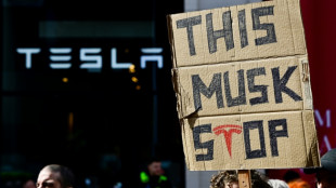 Tesla sales fall again in Germany as drivers steer clear of Musk