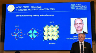 Nobel de Qu&iacute;mica premia trio por pesquisas sobre novas estruturas moleculares