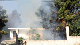 Bomberos griegos comienzan a controlar un incendio al norte de Atenas