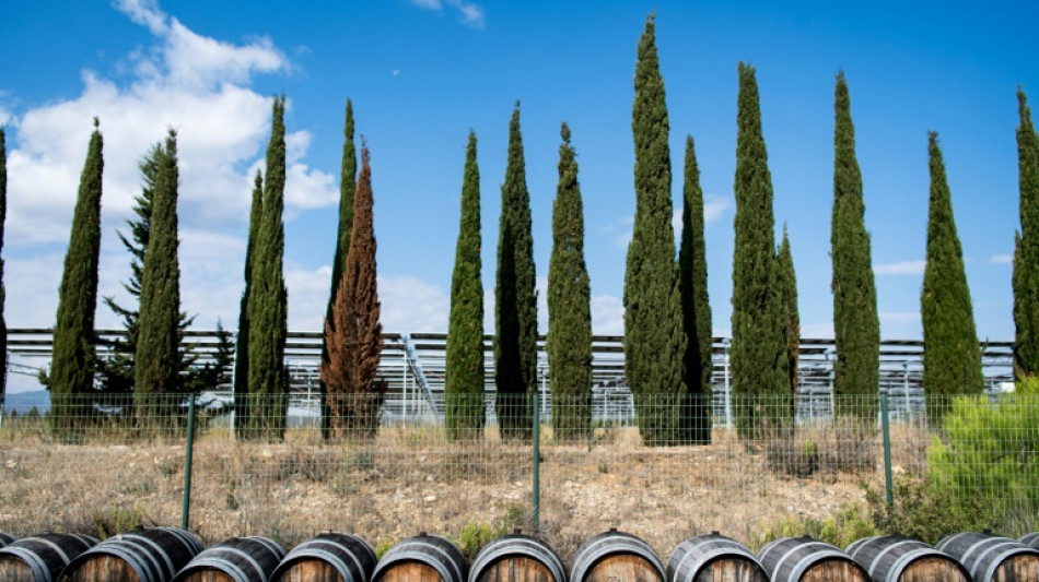 Crise du vin: les caves coop&eacute;ratives en premi&egrave;re ligne