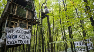 Polizei prüft Weitergabe der Einsatzkosten im Fechenheimer Wald an Aktivisten