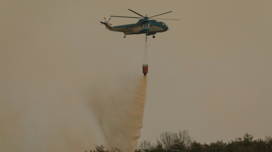 Cor&eacute;e du Sud: d&eacute;ploiement massif de pompiers et soldats contre des feux de for&ecirc;ts