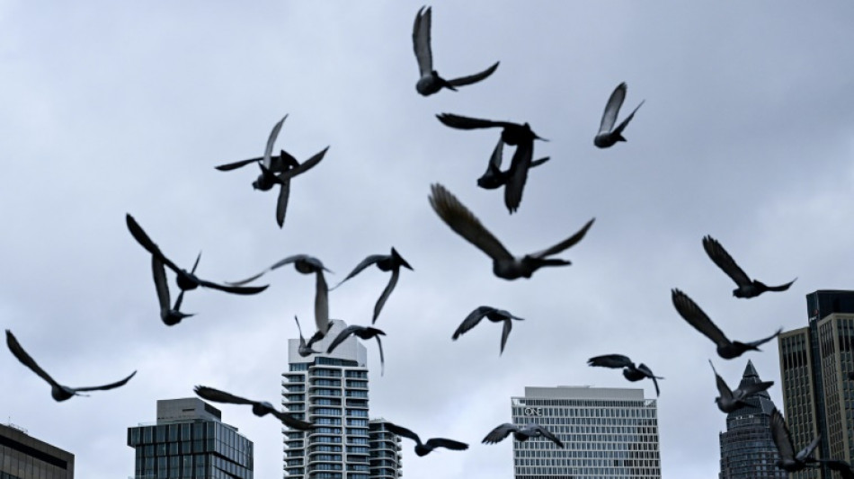 Europ&auml;ischer Gerichtshof grenzt Nutzung von Schufa-Wert ein