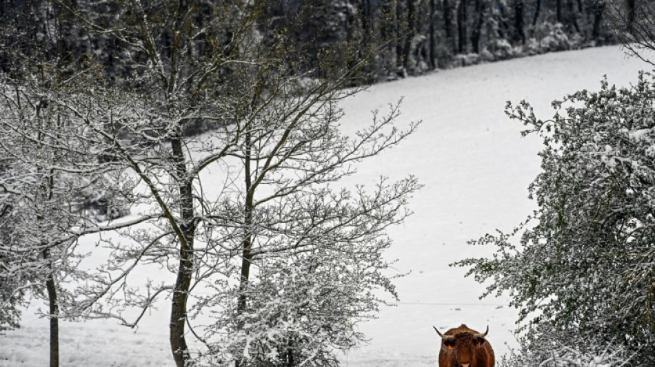 BGH urteilt &uuml;ber R&uuml;ckkauf von unbebautem Bauland durch Kommune