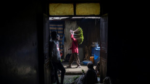 Ethiopie: sur le marché au khat d'Aweday, saison morose pour "l'or vert"