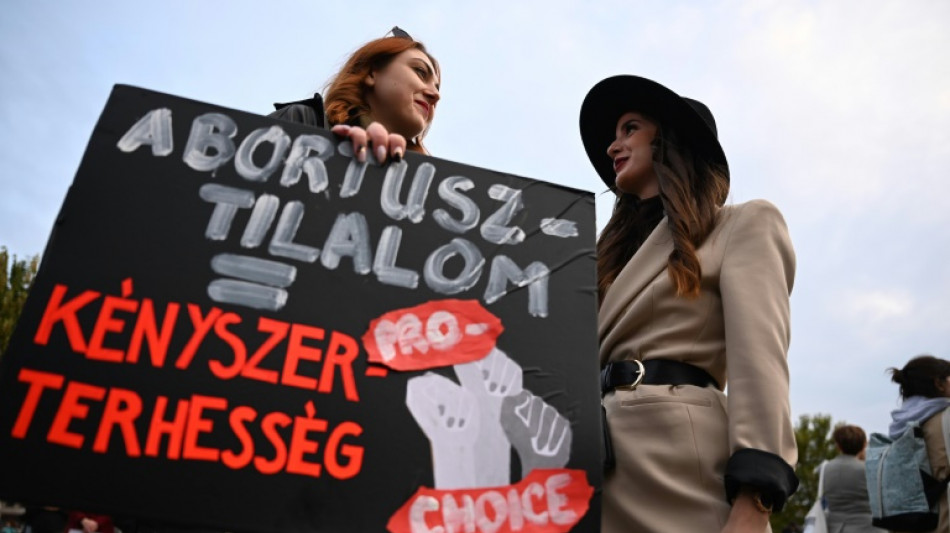 Manifestaci&oacute;n por un libre acceso al aborto en Hungr&iacute;a