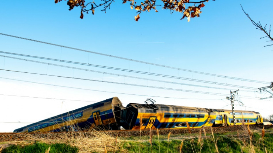 Un muerto y decenas de heridos en un accidente de tren en Pa&iacute;ses Bajos