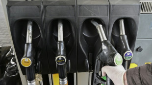 Benzin und Diesel in Deutschlands Nachbarstaaten meist günstiger 