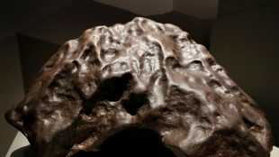Des chercheurs reconstituent l'arbre généalogique de météorites
