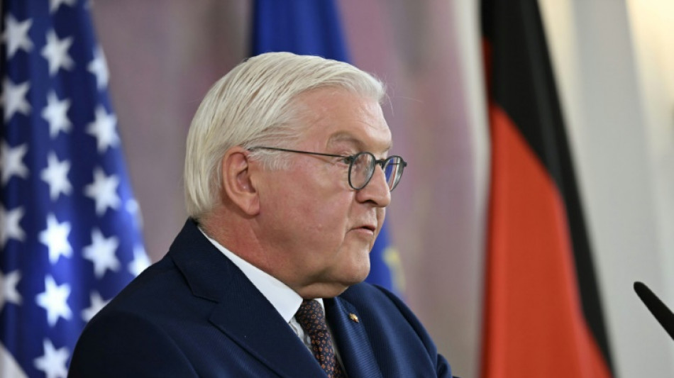 Steinmeier startet "Initiative f&uuml;r einen handlungsf&auml;higen Staat"