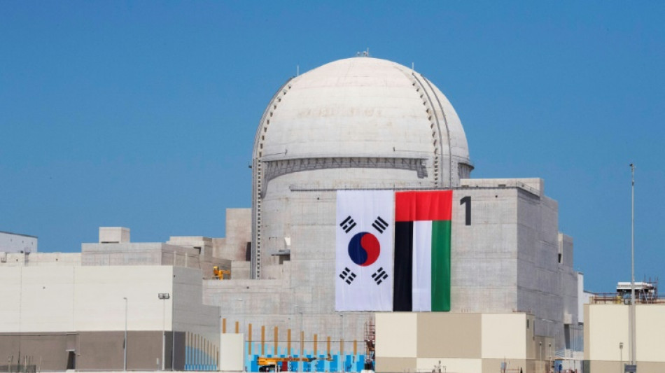 UAE seeks Iran assurance on 'peacefulness' of nuclear
programme
