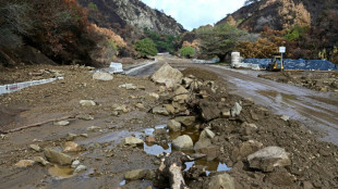 Fuertes lluvias en Los &Aacute;ngeles causan deslaves en zonas devastadas por los incendios